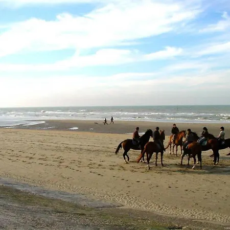 Station Square For 4 * Blankenberge